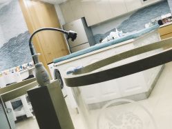 -和伊母婴护理中心·全套房(金山店)
