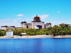 -莲花池公园