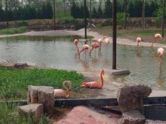 -石家庄市动物园