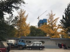 -西安市纺织公园