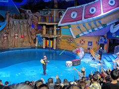 -烟台海昌鲸鲨海洋公园