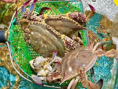 -好兄弟郭巨海鲜(天一阁店)