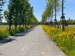 -嘉北郊野公园