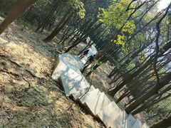 -火炉山森林公园
