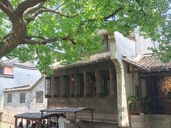 -乌镇东栅景区
