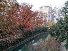 -杭州市第三人民医院