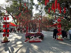 -荔湾湖公园