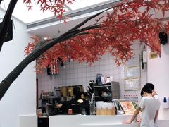 -艾薯夫妇Aysh(福田星河COCOPark店)