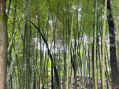 -金水泊山庄·花椒鸡(铁山坪店)