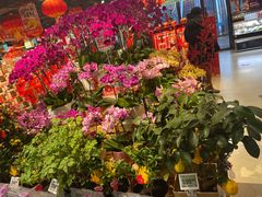 -盒马鲜生(双清路店)