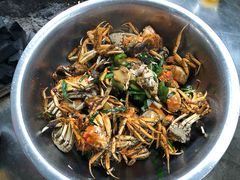 -会江钓鱼钓虾烧烤场