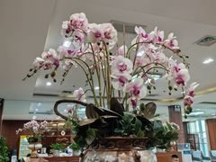 -桃仙机场头等舱休息室