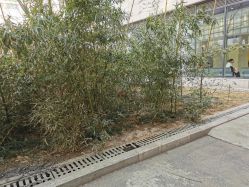 -天津市儿童医院(北辰龙岩院区)