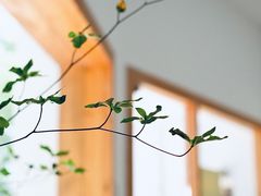 -COTTON CAFE(德信·中外公寓店)