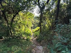 -火炉山森林公园