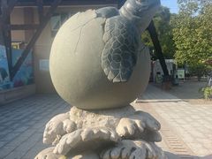 -广东惠东海龟国家级自然保护区