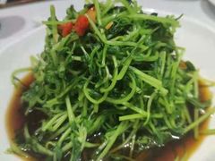 -丰收日(五角场店)