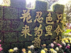 -汇龙潭