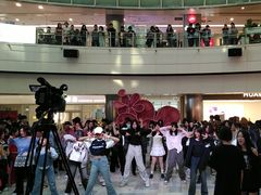 -鹏欣水游城