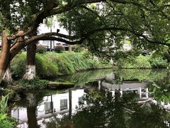 -杭州花家山庄