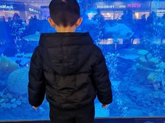 -成都浩海立方海洋公园