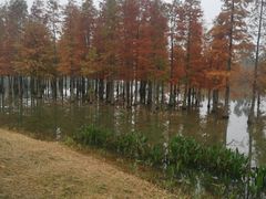 -白鹭湾湿地公园