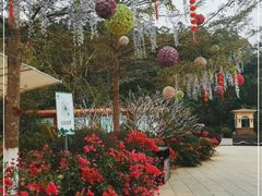 -广州白江湖森林公园