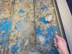 -罗二娘·鲜切牛自助火锅(罗湖东门步行街店)