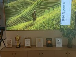 点击看大图 -头道汤头疗养生馆