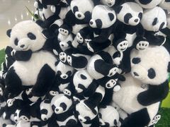 -阳光世纪奥特莱斯店