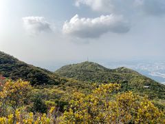-梧桐山风景名胜区