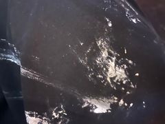 -丁家坡洋芋·观音桥好吃街A区(全国总店)