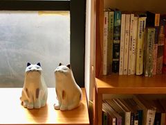 -猫里有甜