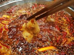 -小王少龙火锅(沙南街店)