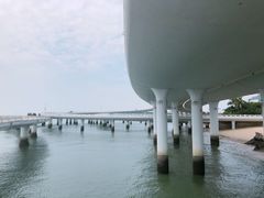 -演武大桥观景平台