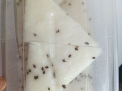 -赣南人家·头牌江西菜(劲松店)