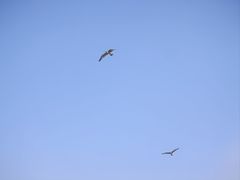 -兴城海滨风景区