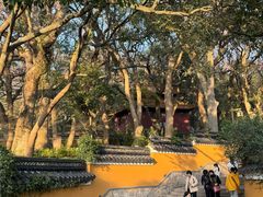 -普陀山风景名胜区-法雨禅寺