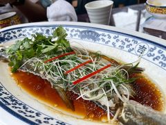 老虎斑-宁波状元楼酒店(和义路店)