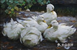 🌿清河老树画闲鸭