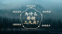 -安吉拉青春化管理中心