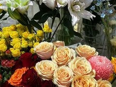 -植物学家的女儿(北马道巷店)