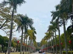-厦门大学(思明校区)