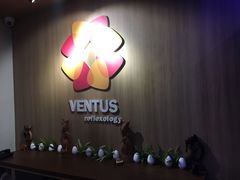 -ventus spa 沙巴亚庇正宗精油按摩会所