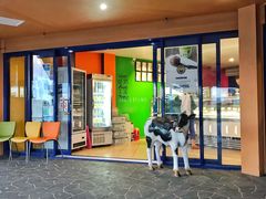 门面-Dooley's Premium Ice Cream