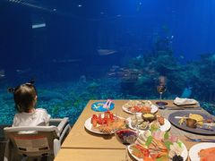 -海棠湾洲际-涛·海底餐厅·美人鱼·自助餐·海底隧道