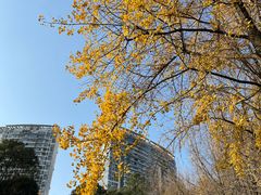 -温江公园