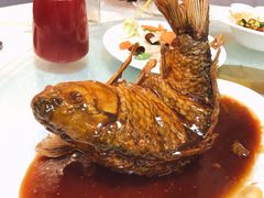 罾蹦鲤鱼-奥华餐厅·老张记(台基厂店)