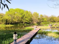 -西溪国家湿地公园