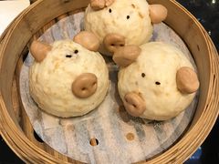 -新兴·金羊座·粤菜点心(乐峰店)